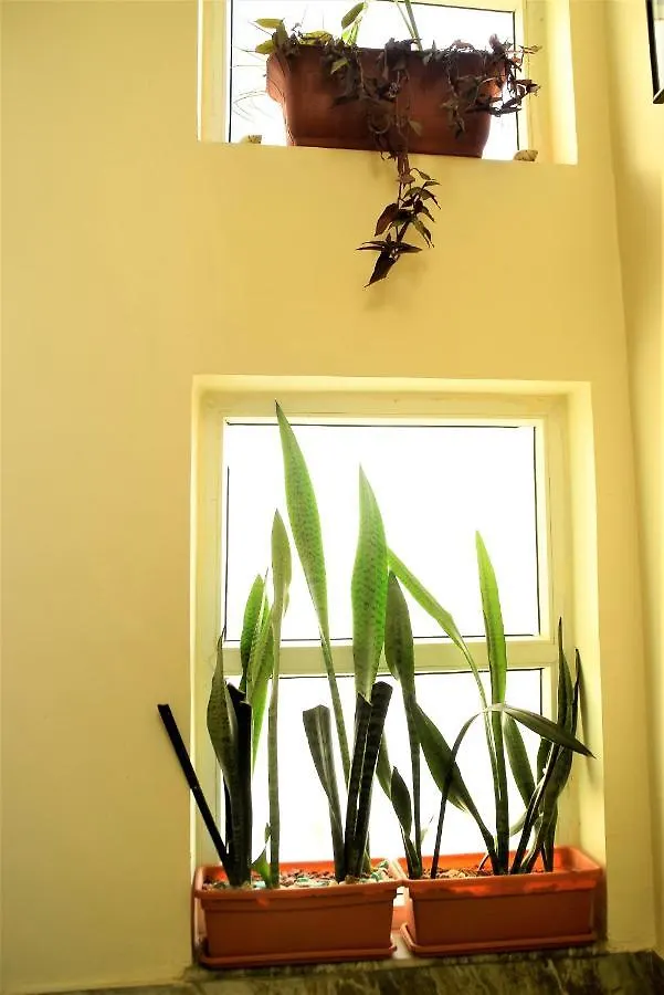 Boutique Style, Eco-Friendly Property With Attached Bathroom Kathmandu Nepal